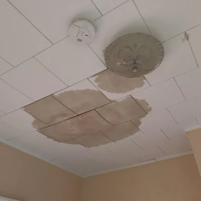 Ceiling Water Damage Repair in Reidsville, NC