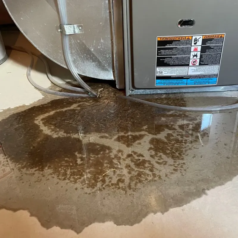Pipe Burst and Leak Restoration in Reidsville, NC