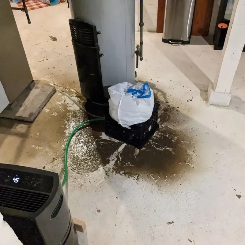Sewage Backup Cleanup Service in Reidsville, NC